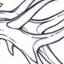 dragon antlers