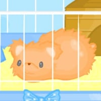 Adorable orange russian hamster in cage