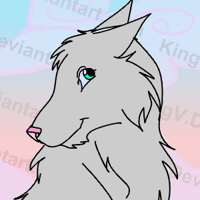 Beautiful grey girl wolf