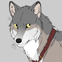 Realistic grey wolf