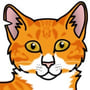 Orange tabby warrior cat with white snout and chest