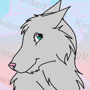 Beautiful grey girl wolf