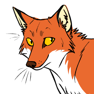 Beautiful orange fox