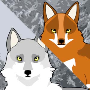 Grey wolf and orange fox