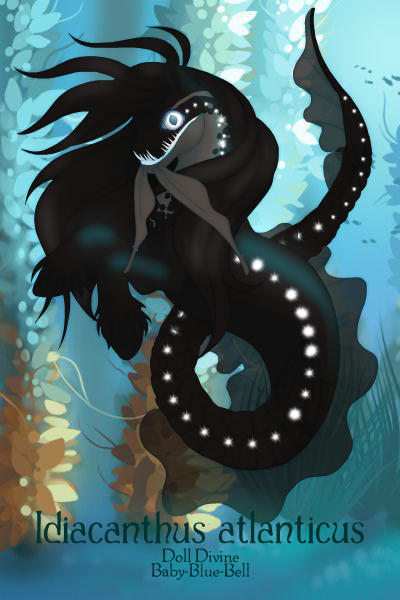 Black dragonfish ~ 