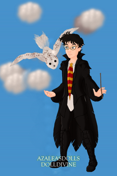 Harry and hedwig ~ harry Potter and his Snow Owl.