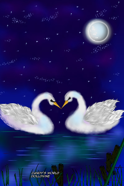 Eternal Love ~ Swans mate for life so they inspired to 