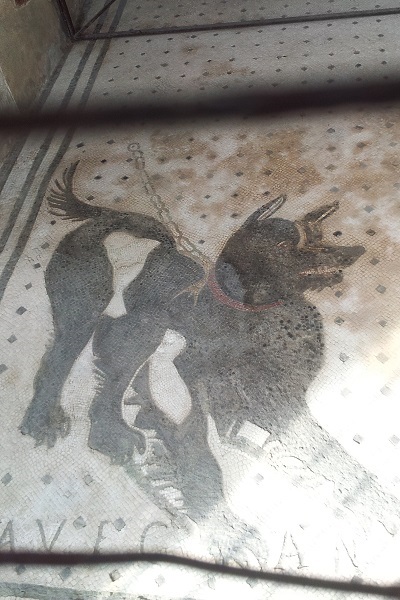 CAVE CANEM - Beware of Dog ~ Inside the vestibule of the House of the