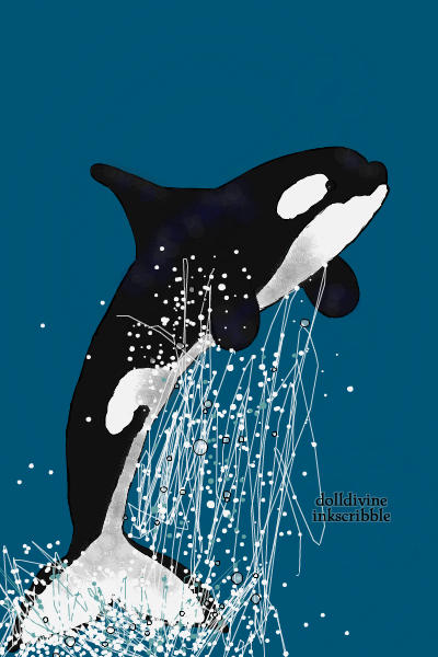 Orca whale/Killer whale/Sea panda ~ 